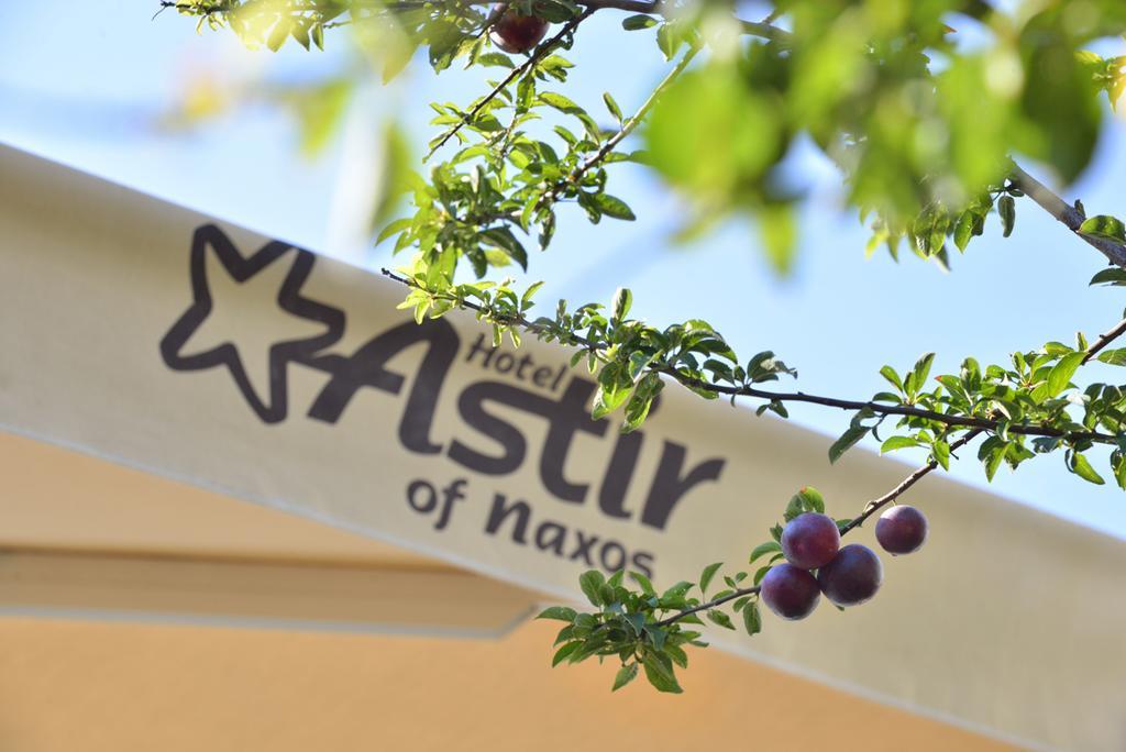 Astir Of Naxos Hotel Naxos City Exterior photo