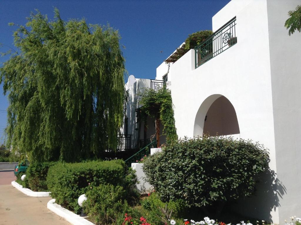 Astir Of Naxos Hotel Naxos City Exterior photo