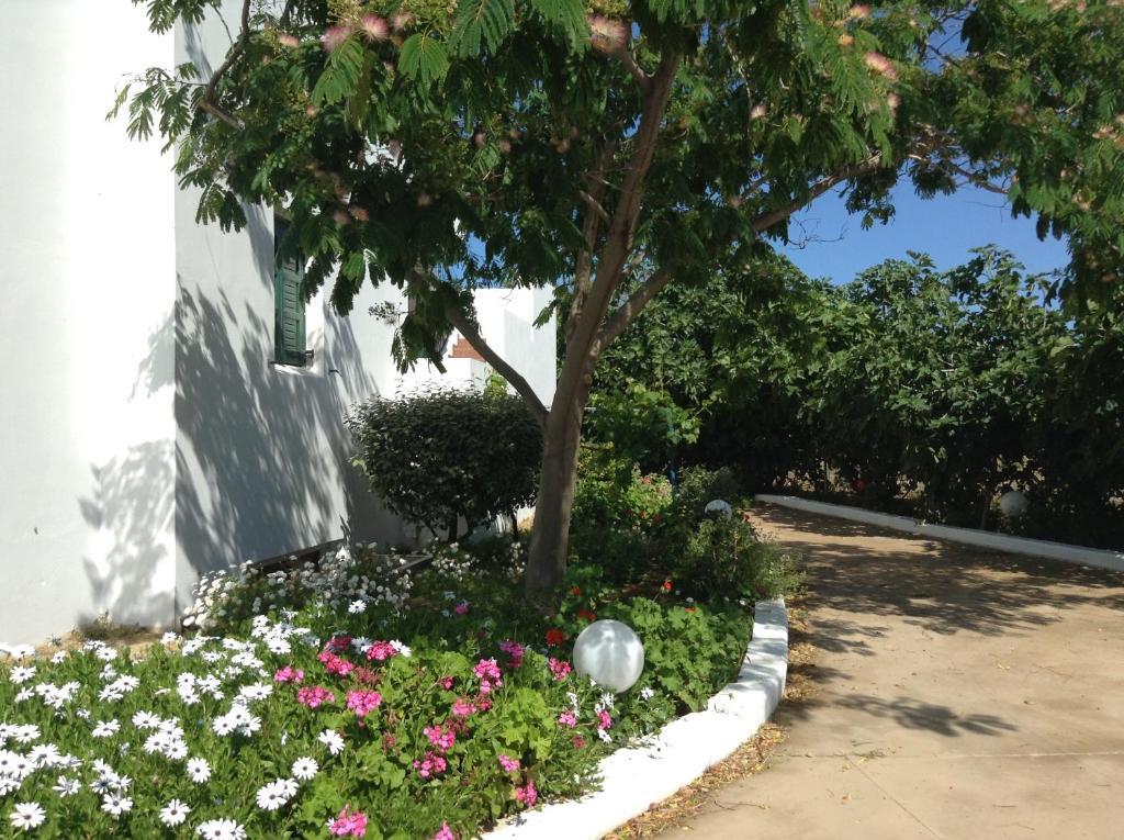 Astir Of Naxos Hotel Naxos City Exterior photo